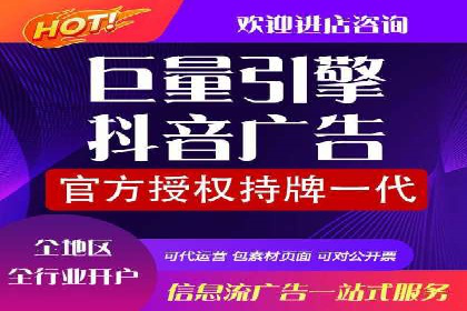 行业专家解析SEM代运营成功案例